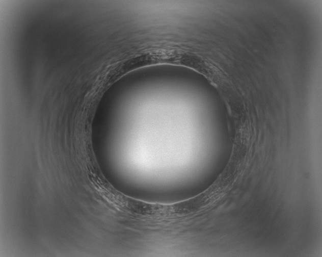 X0000057060961200509120844