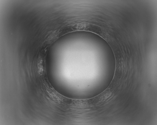 X0000057060962200509120844