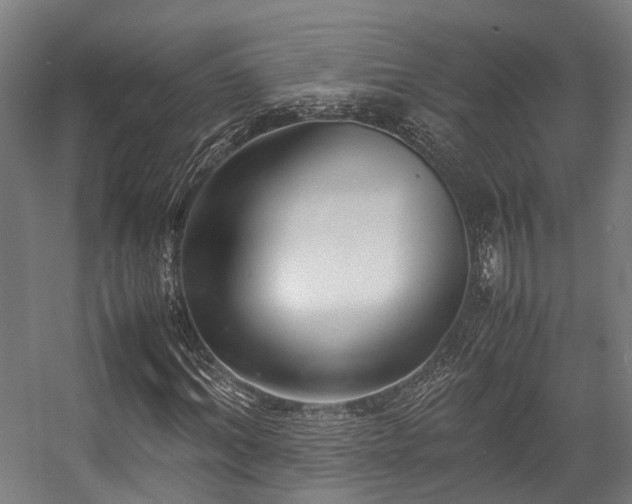 X0000057060964200509120844