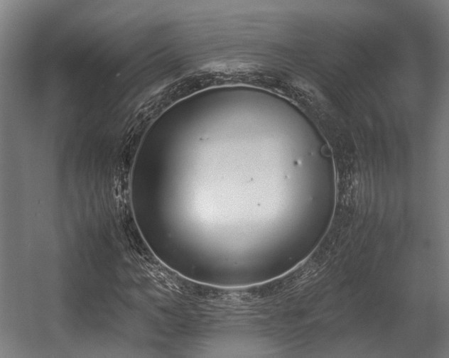 X0000057060966200509120844