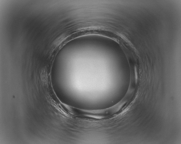 X0000057060969200509120844