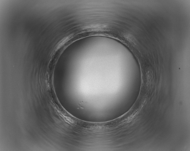 X0000057060970200509120844