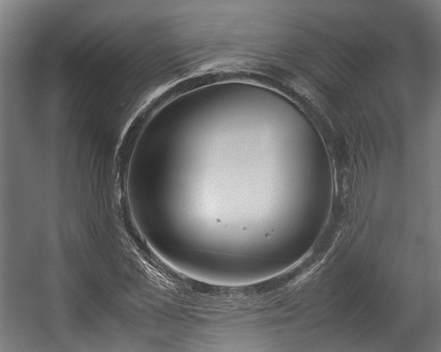 X0000057060973200509120844