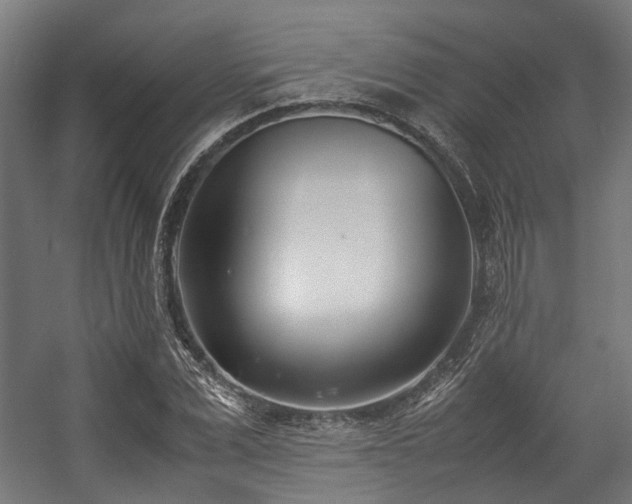 X0000057060975200509120844