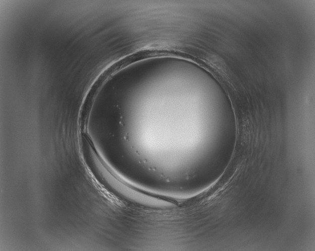 X0000057060976200509120844