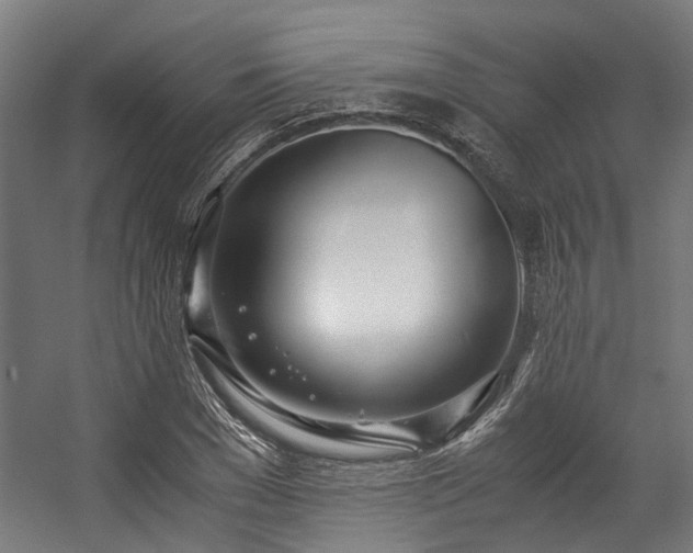 X0000057060977200509120844