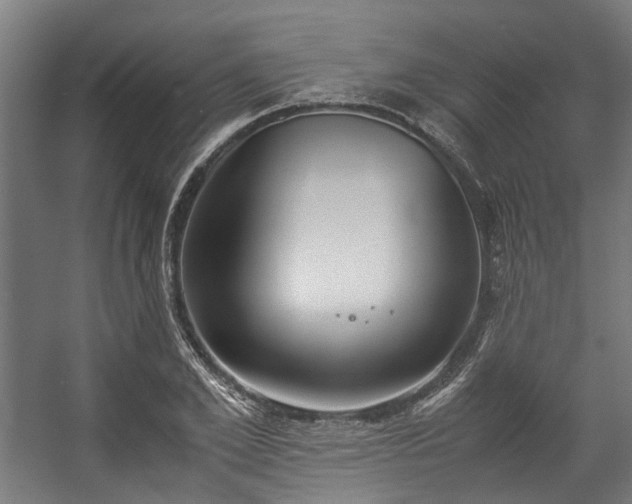 X0000057060981200509120844