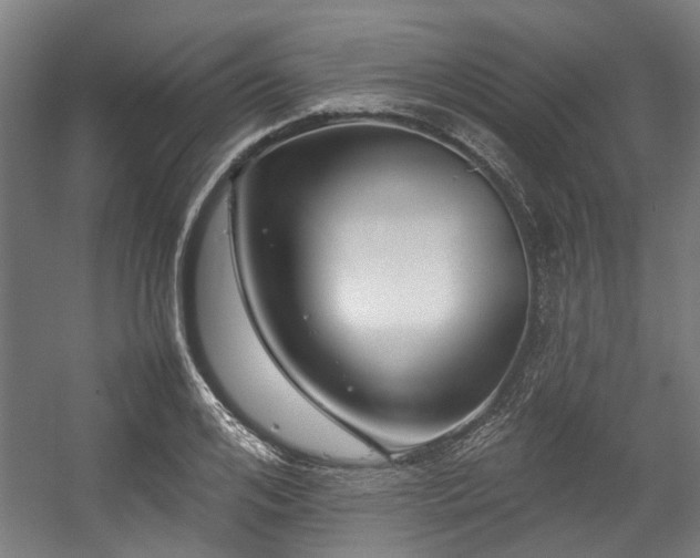 X0000057060984200509120844