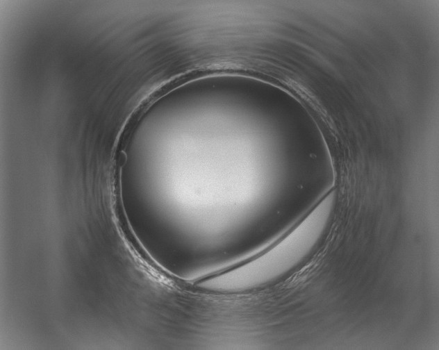 X0000057060992200509120843