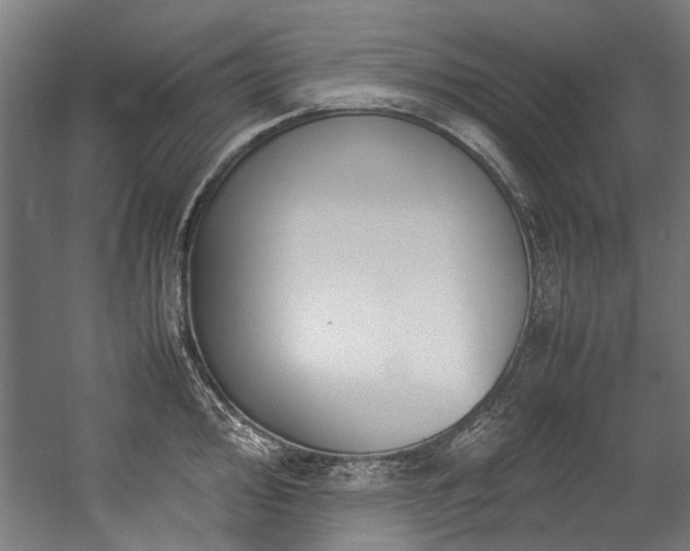 X0000057061000200509120843