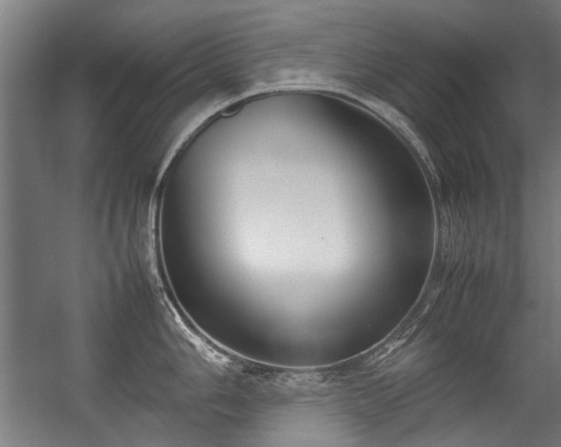 X0000057061006200509120843