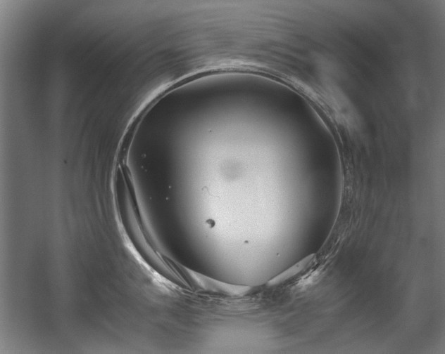 X0000057061007200509120843