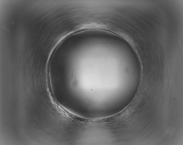 X0000057061008200509120843