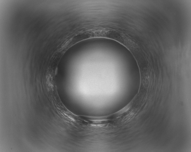 X0000057061010200509120842