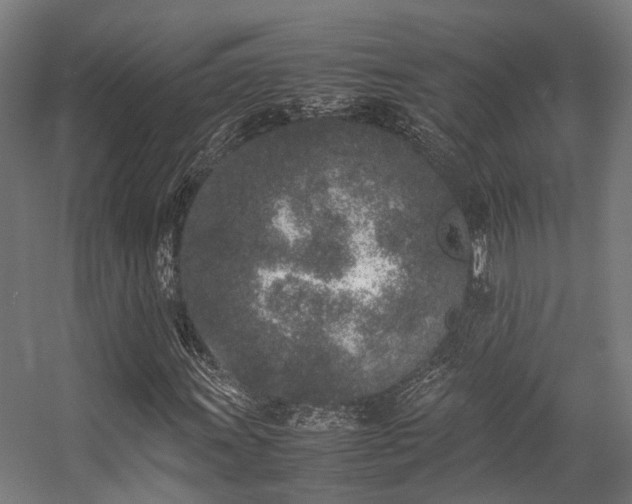 X0000057061011200509120842