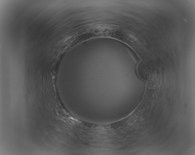 X0000057061013200509120842