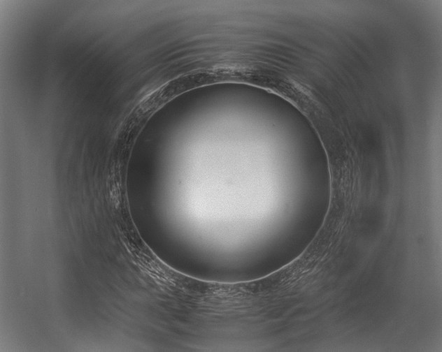 X0000057061015200509120842