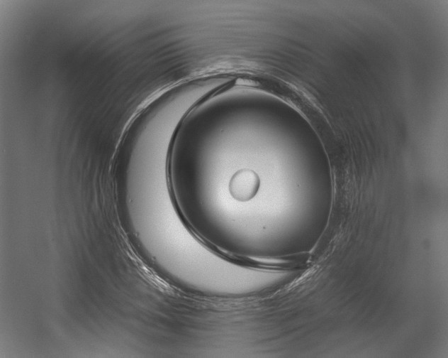 X0000057061018200509120842