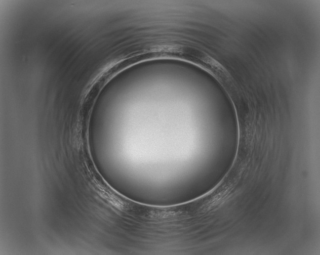 X0000057061019200509120842