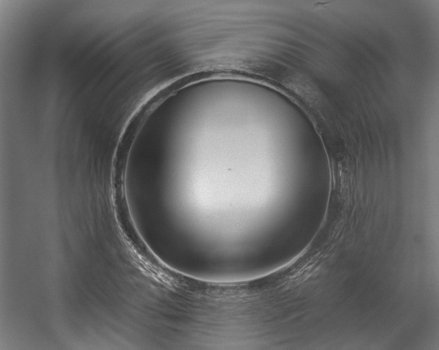 X0000057061020200509120842