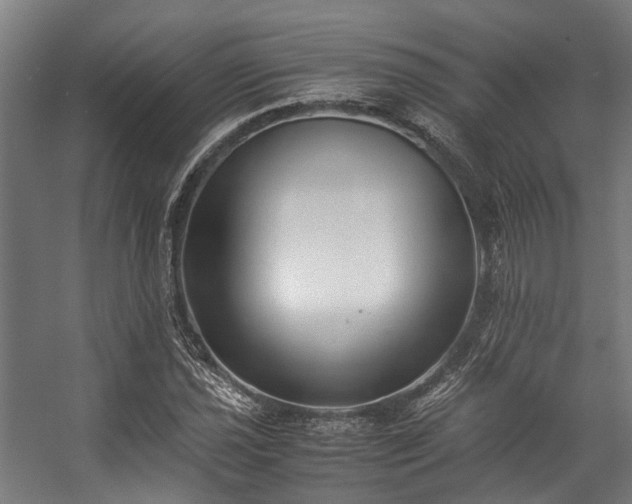 X0000057061021200509120843