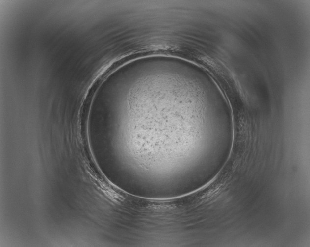 X0000057061023200509120843