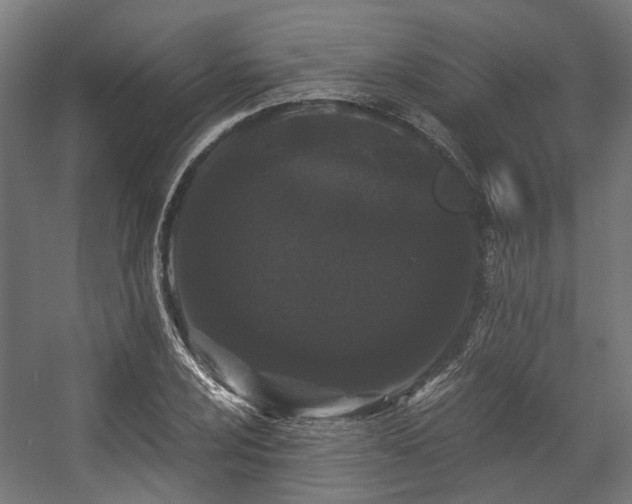 X0000057061024200509120843