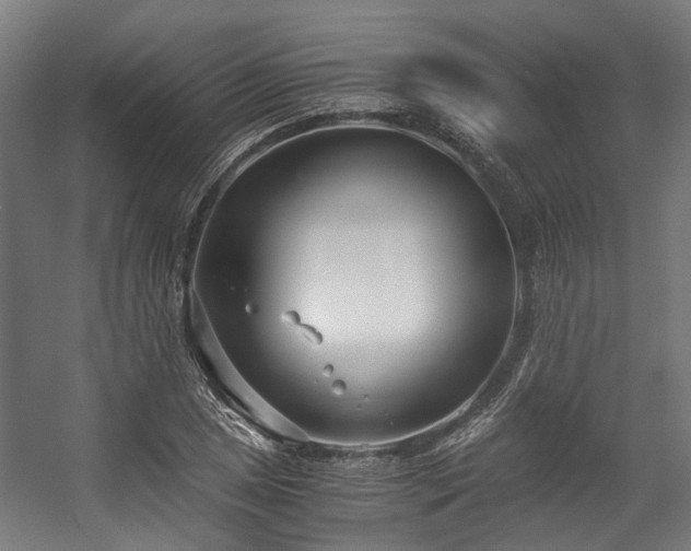 X0000057061025200509120843