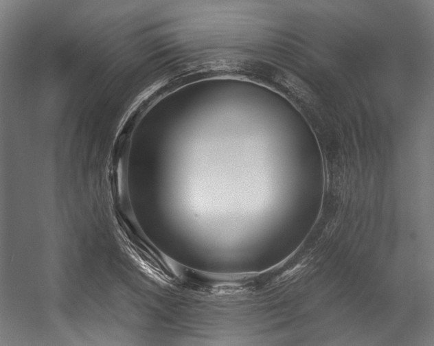 X0000057061026200509120843