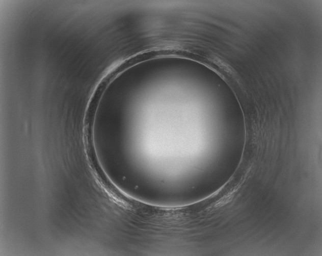 X0000057061029200509120843