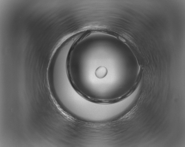 X0000057061030200509120843