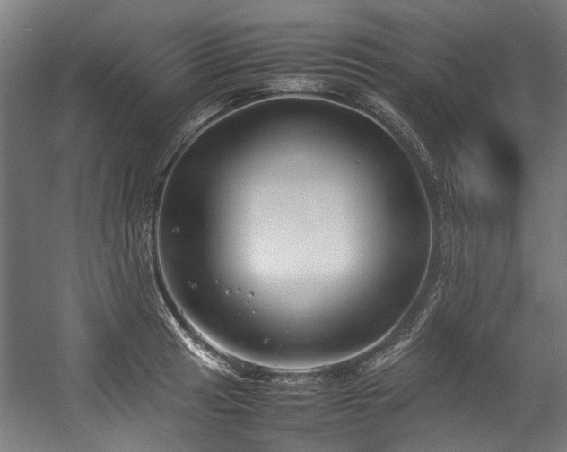 X0000057061041200509120843