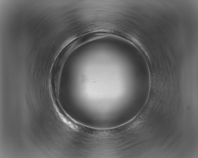 X0000057061042200509120843