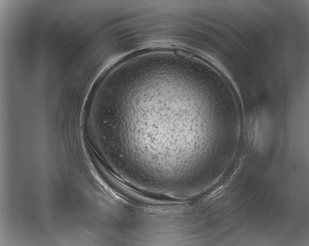 X0000057061045200509120843