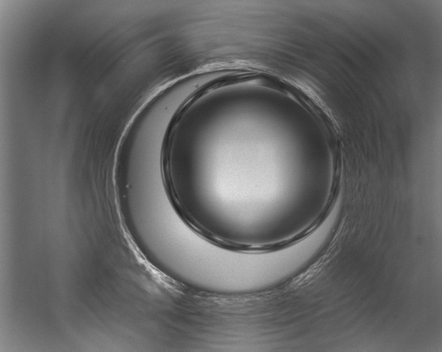 X0000057061046200509120843