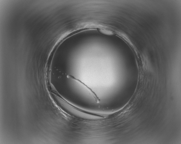 X0000057061048200509120843