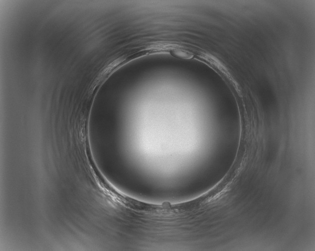 X0000057061049200509120843