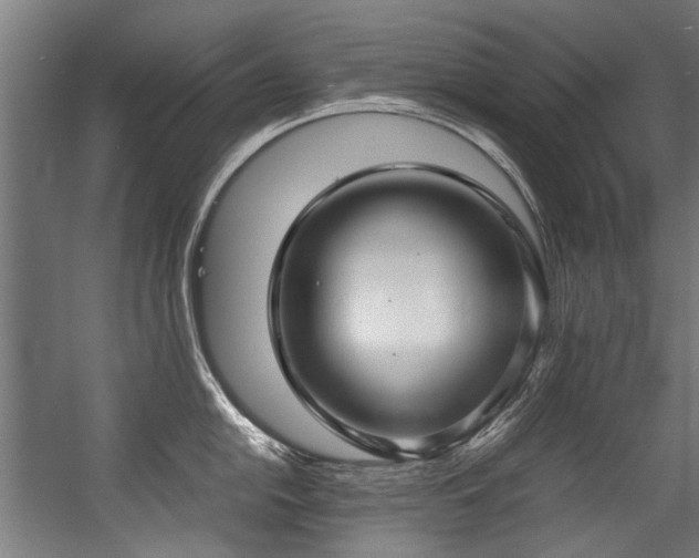 X0000057061054200509120843