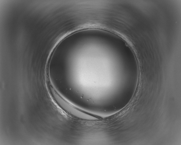 X0000057061056200509120843