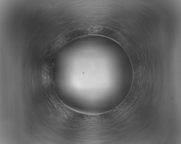 X0000057061058200509120842