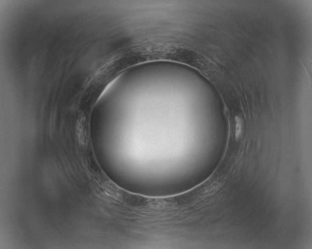 X0000057061059200509120842