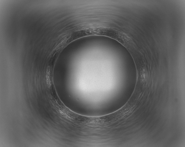 X0000057061060200509120842