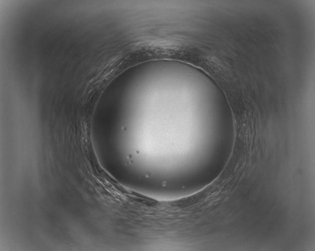 X0000057061061200509120842