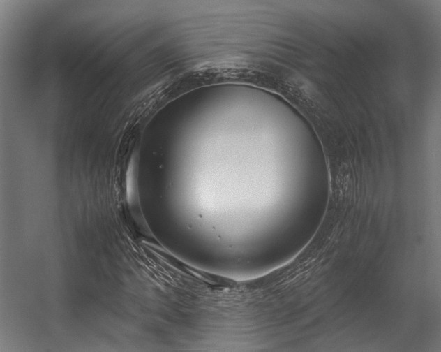 X0000057061062200509120842