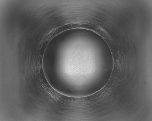 X0000057061064200509120842