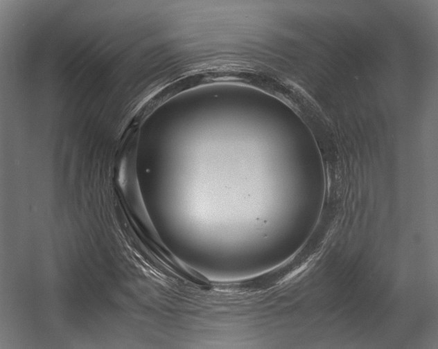 X0000057061065200509120842