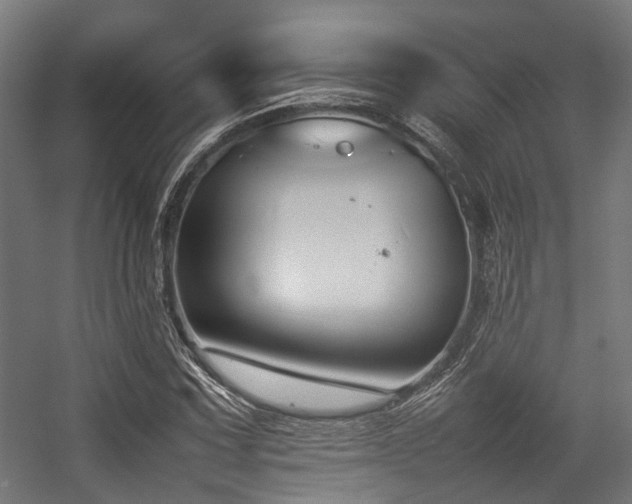 X0000057061067200509120842