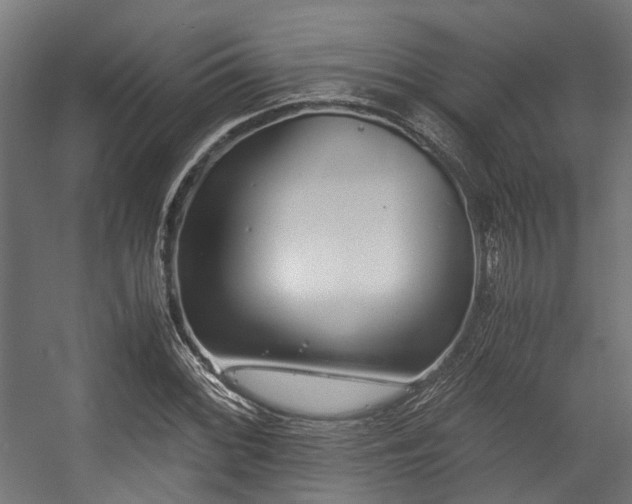 X0000057061068200509120842