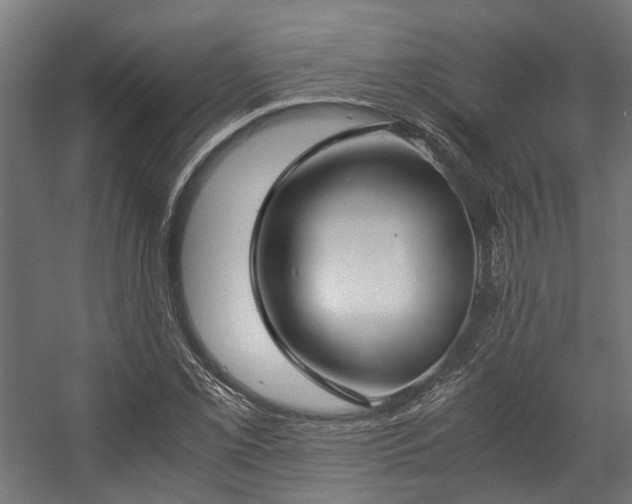 X0000057061069200509120842