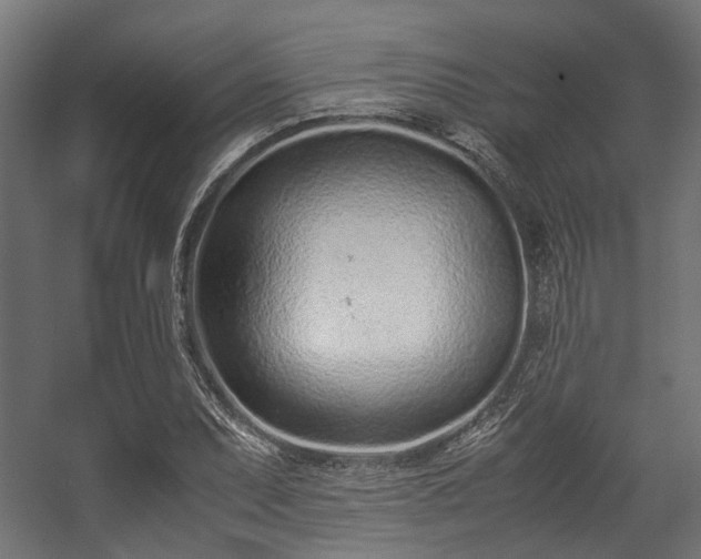 X0000057061071200509120842